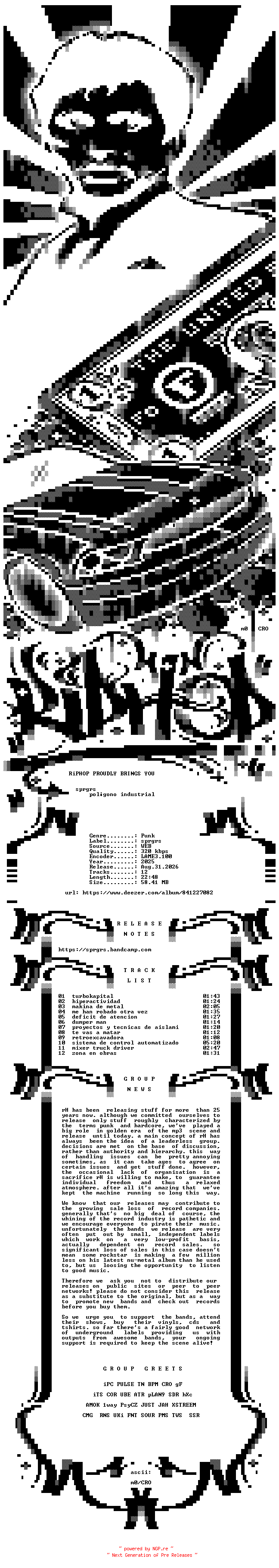 NFO for the release sprgrs-poligono_industrial-WEB-ES-2025-rH_iNT by rH_iNT