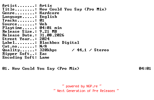 NFO for the release Artix-How_Could_You_Say_(Pro_Mix)-SINGLE-WEB-2024-XTC_iNT by XTC_iNT