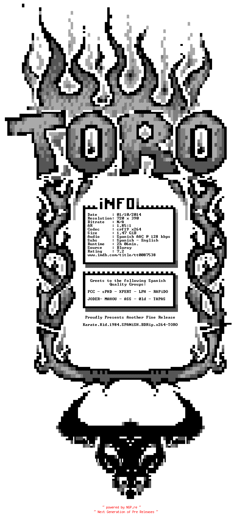 NFO for the release Karate.Kid.1984.SPANiSH.BDRip.x264-TORO by TORO