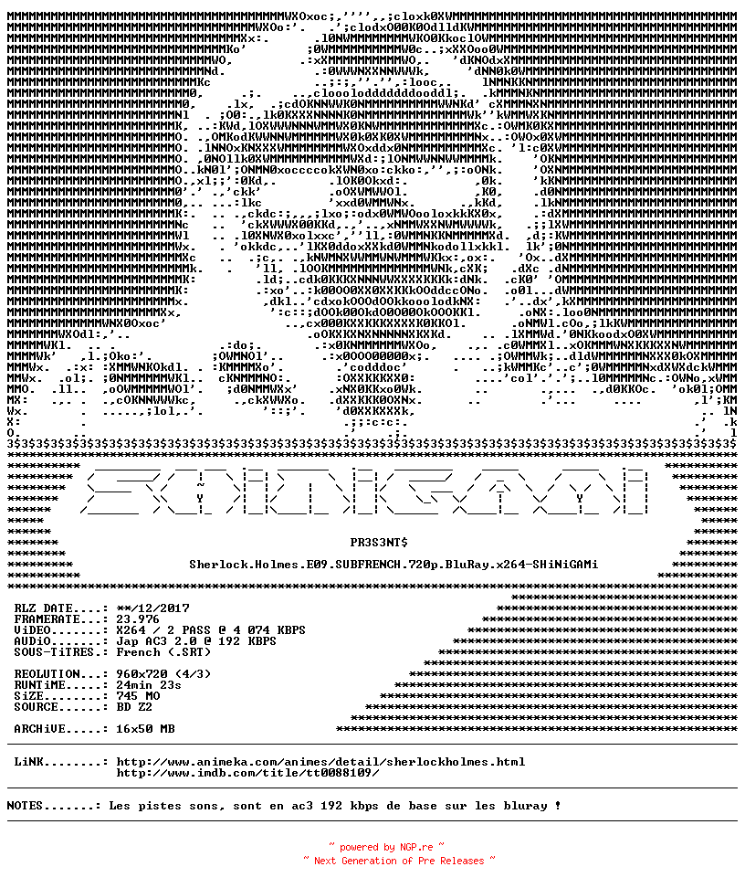 NFO for the release Sherlock.Holmes.E09.SUBFRENCH.720p.BluRay.x264-SHiNiGAMi by SHiNiGAMi