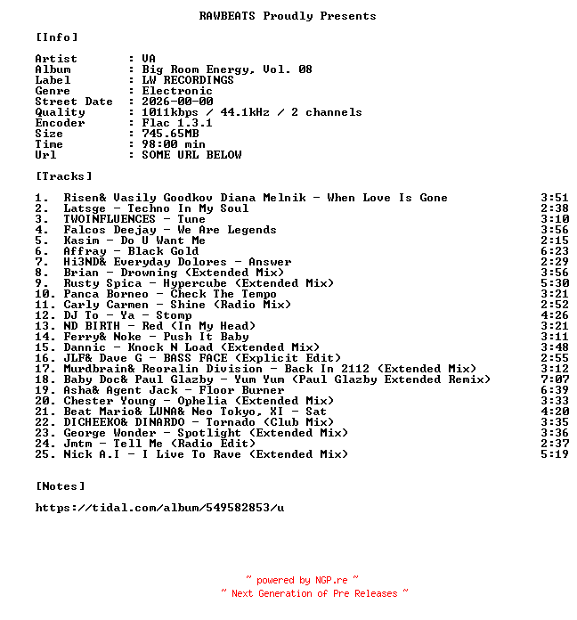 NFO for the release VA-Big_Room_Energy_Vol._08-16BIT-WEB-FLAC-2026-RAWBEATS by RAWBEATS