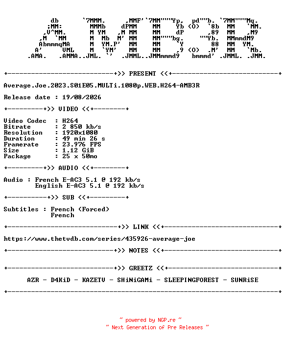 NFO for the release Average.Joe.2023.S01E05.MULTi.1080p.WEB.H264-AMB3R by AMB3R