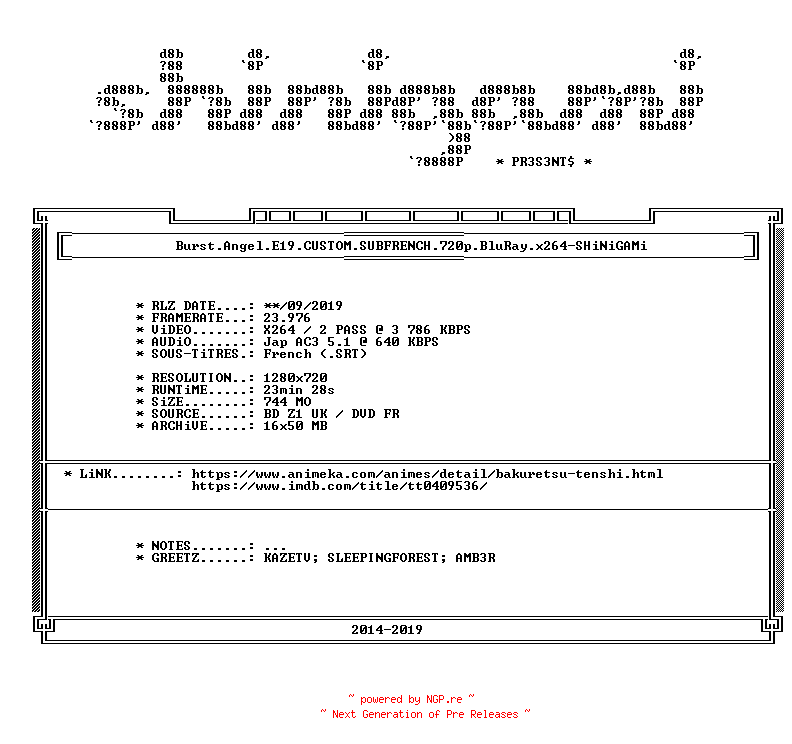 NFO for the release Burst.Angel.E19.CUSTOM.SUBFRENCH.720p.BluRay.x264-SHiNiGAMi by SHiNiGAMi