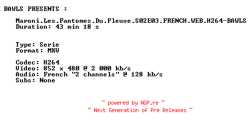 NFO for the release Maroni.Les.Fantomes.Du.Fleuve.S02E03.FRENCH.WEB.H264-BAWLS by BAWLS
