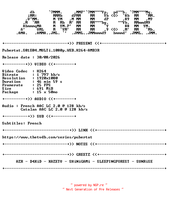 NFO for the release Pubertat.S01E04.MULTi.1080p.WEB.H264-AMB3R by AMB3R