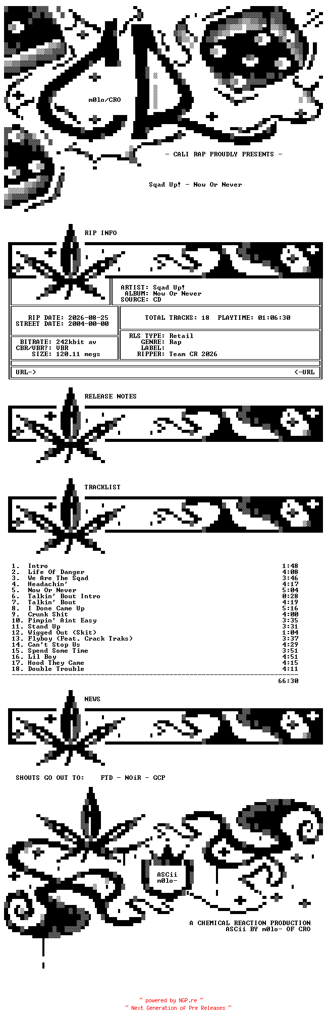 NFO for the release Sqad_Up-Now_Or_Never-2004-CR_INT by CR_INT
