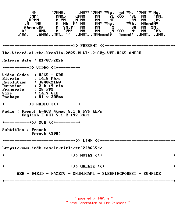 NFO for the release The.Wizard.of.the.Kremlin.2025.MULTi.2160p.WEB.H265-AMB3R by AMB3R