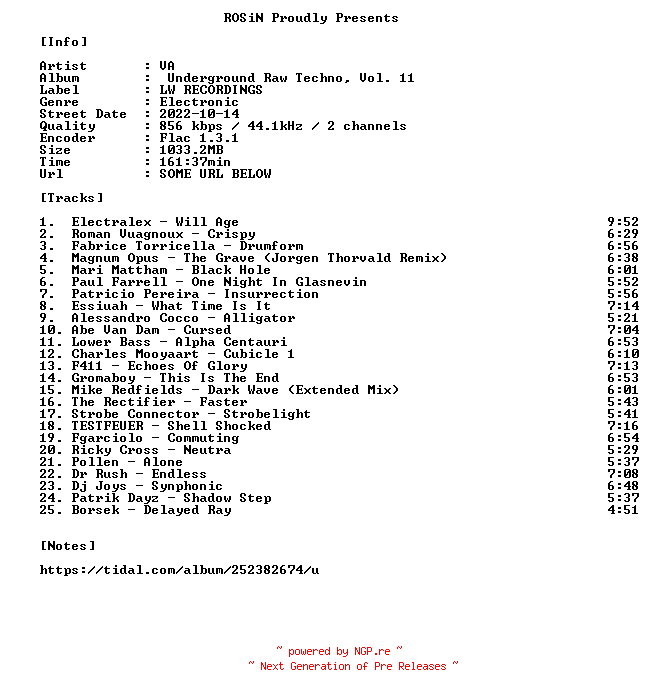 NFO for the release VA-Underground_Raw_Techno_Vol._11-16BIT-WEB-FLAC-2022-ROSiN by ROSiN