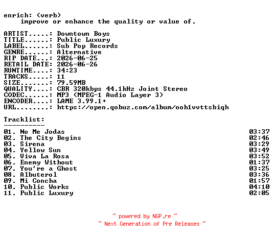 NFO for the release Downtown_Boys-Public_Luxury-WEB-2026-ENRiCH by ENRiCH