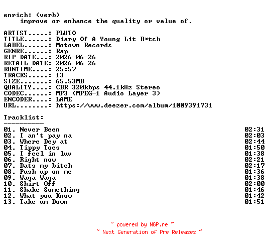 NFO for the release PLUTO-Diary_Of_A_Young_Lit_B-tch-WEB-2026-ENRiCH by ENRiCH
