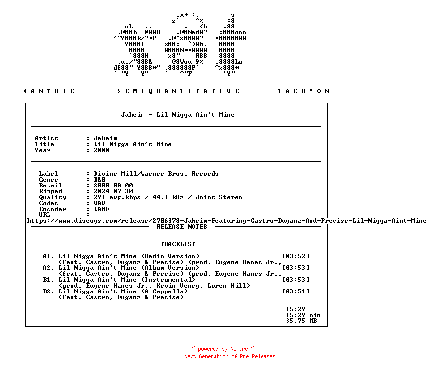 NFO for the release Jaheim-Lil_Nigga_Aint_Mine-(PRO-A-100259)-Promo_VLS-2000-xST by xST
