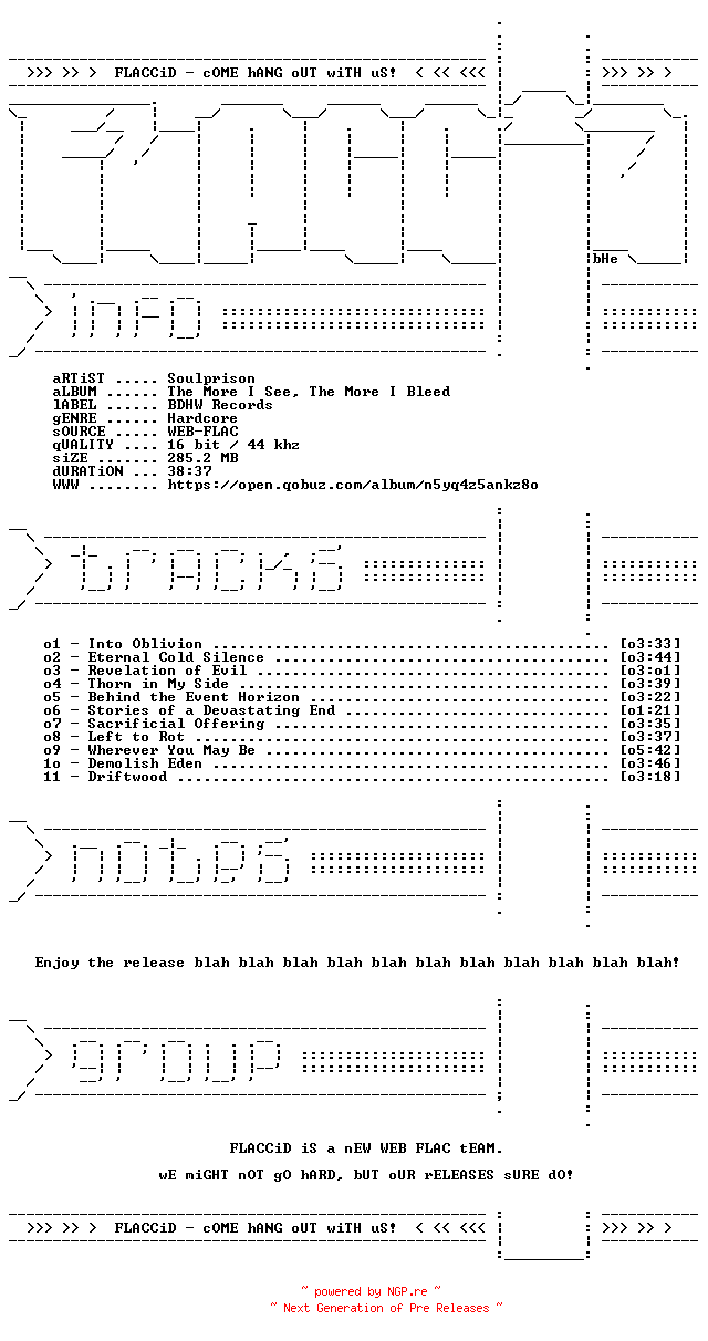 NFO for the release Soulprison-The_More_I_See_The_More_I_Bleed-16BIT-WEB-FLAC-2026-FLACCiD by FLACCiD