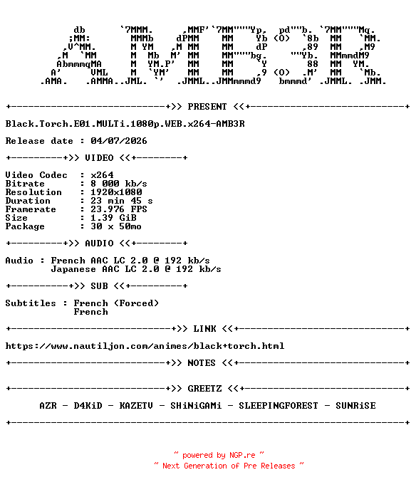 NFO for the release Black.Torch.E01.MULTi.1080p.WEB.x264-AMB3R by AMB3R