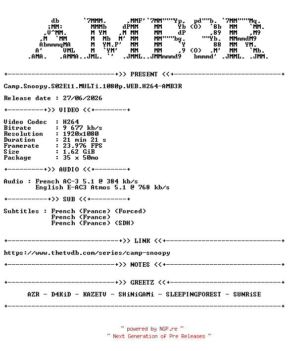NFO for the release Camp.Snoopy.S02E11.MULTi.1080p.WEB.H264-AMB3R by AMB3R