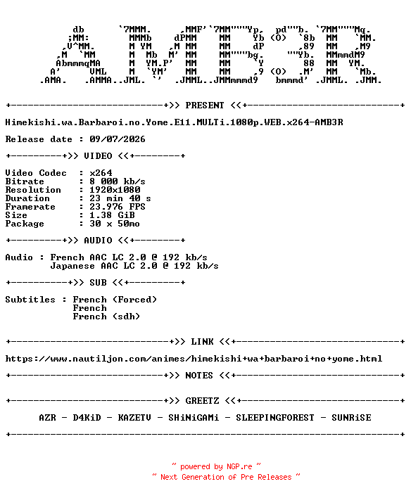 NFO for the release Himekishi.wa.Barbaroi.no.Yome.E11.MULTi.1080p.WEB.x264-AMB3R by AMB3R