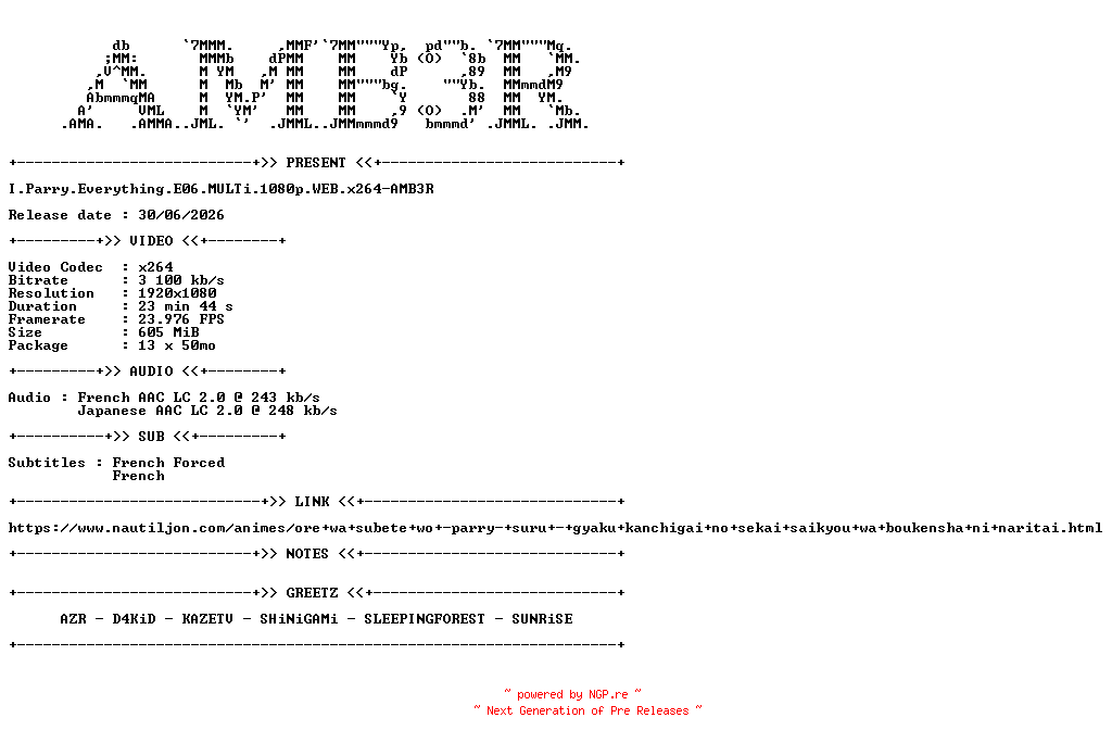 NFO for the release I.Parry.Everything.E06.MULTi.1080p.WEB.x264-AMB3R by AMB3R