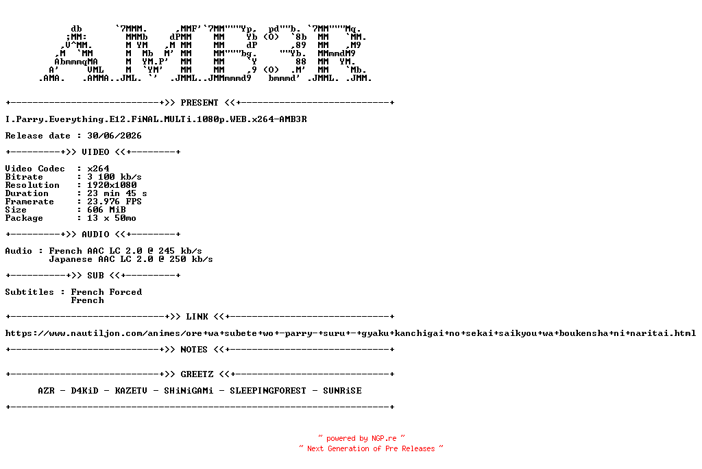 NFO for the release I.Parry.Everything.E12.FiNAL.MULTi.1080p.WEB.x264-AMB3R by AMB3R