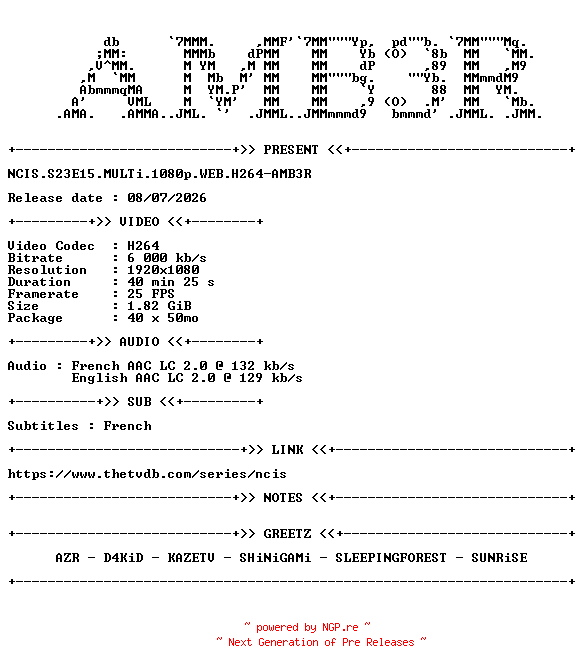 NFO for the release NCIS.S23E15.MULTi.1080p.WEB.H264-AMB3R by AMB3R