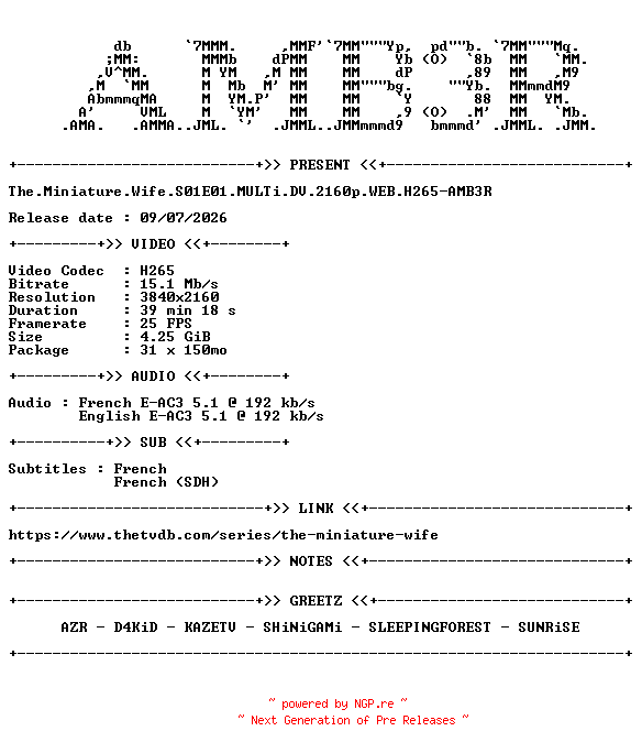 NFO for the release The.Miniature.Wife.S01E01.MULTi.DV.2160p.WEB.H265-AMB3R by AMB3R