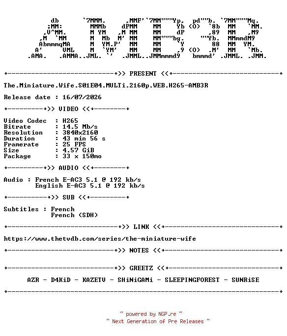 NFO for the release The.Miniature.Wife.S01E04.MULTi.2160p.WEB.H265-AMB3R by AMB3R